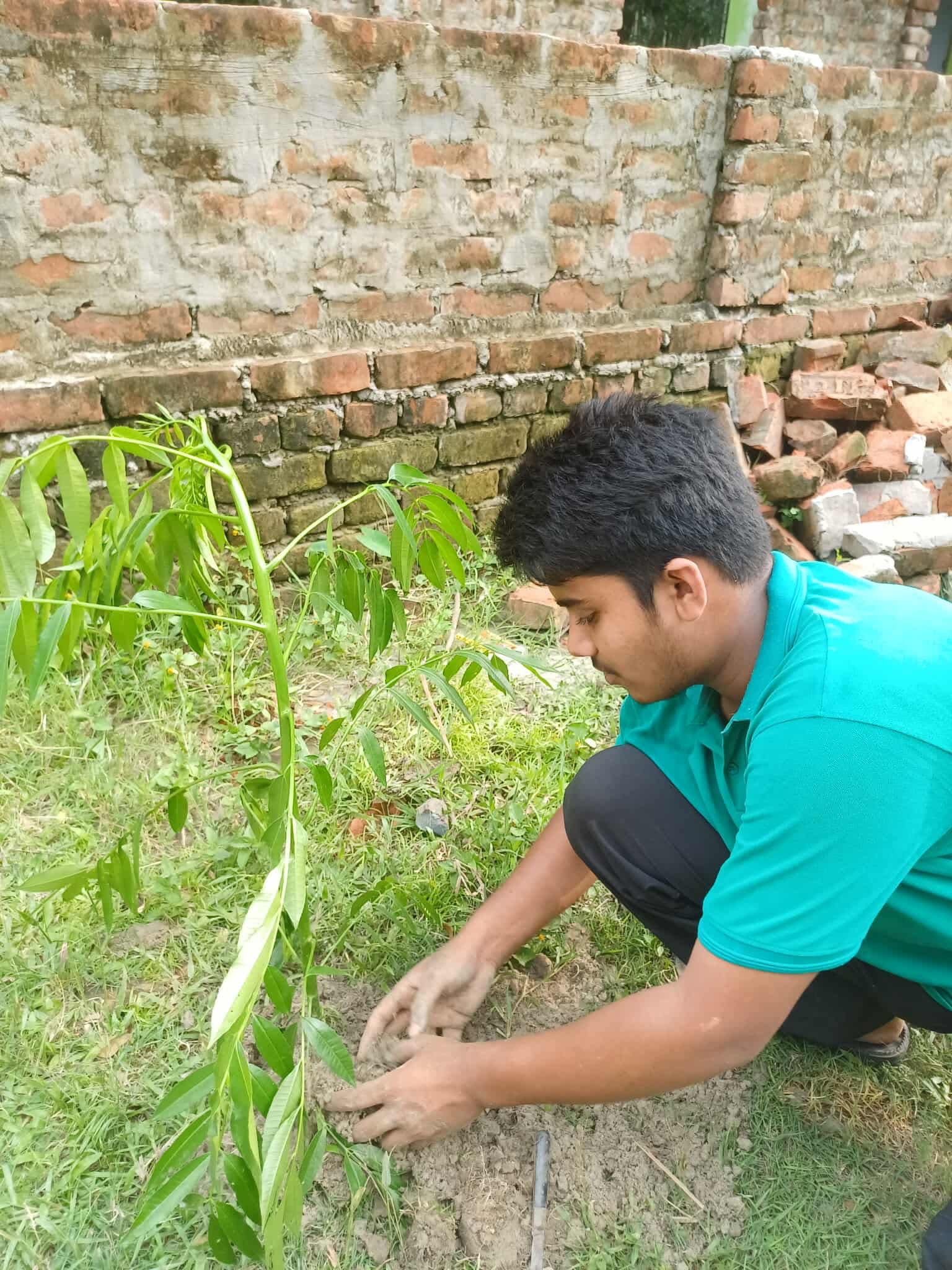 Planting Trees, Growing Hope – Together for a Greener Tomorrow.