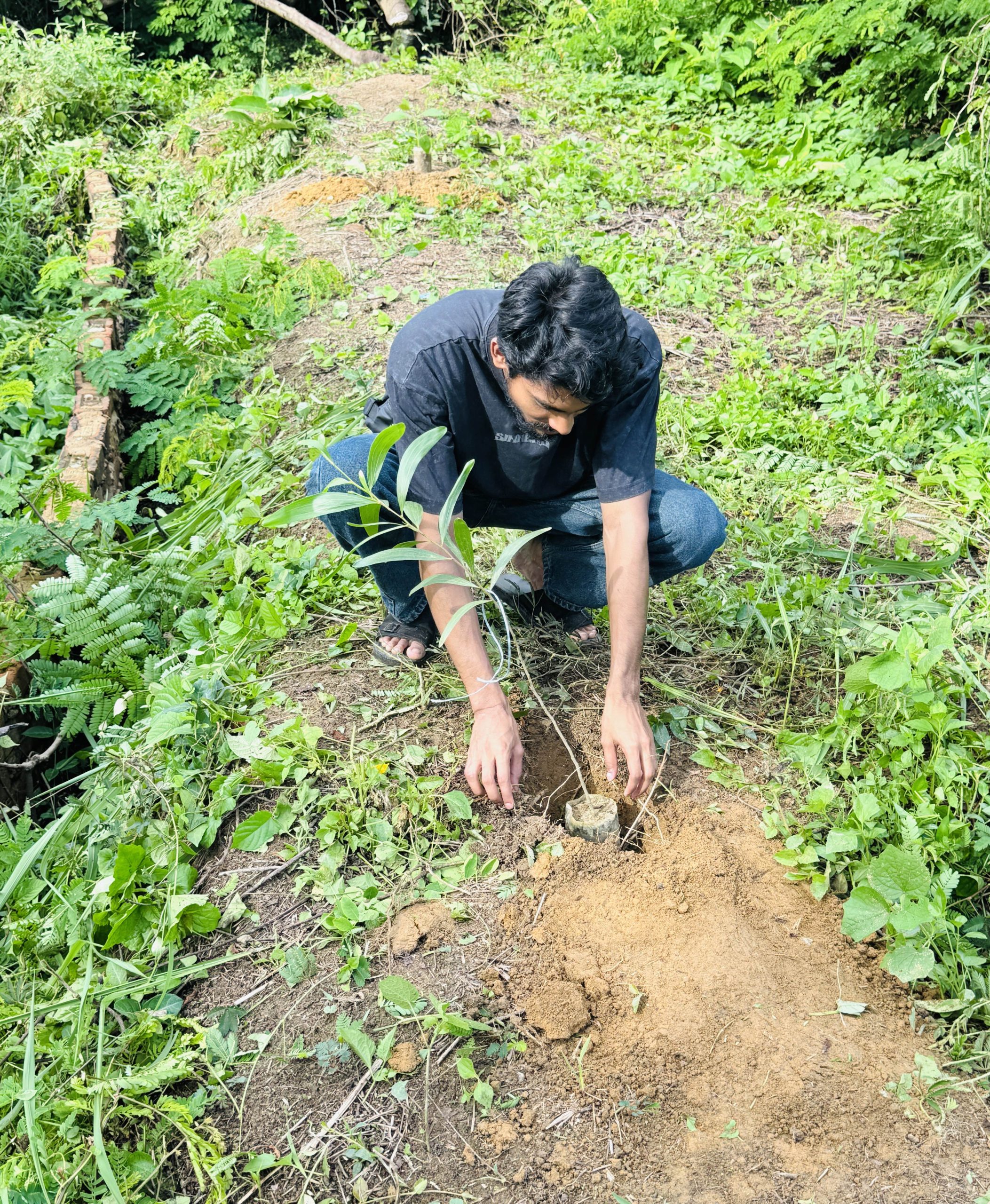 Small Acts, Big Impact – Planting Trees for Generations to Come.