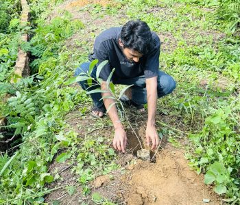 Small Acts, Big Impact – Planting Trees for Generations to Come.